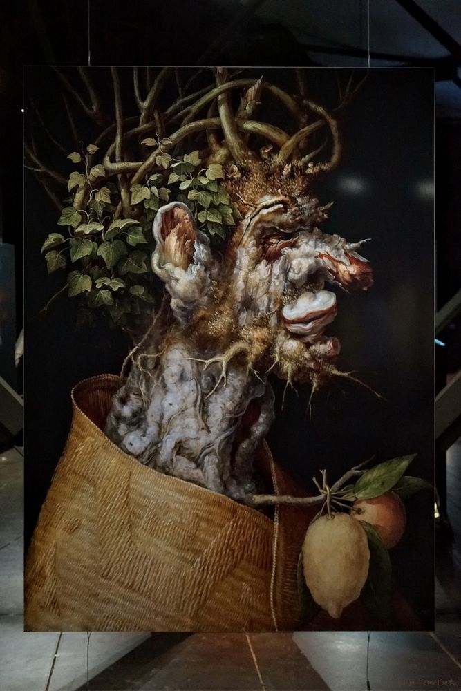 Der Winter von Giuseppe Arcimboldo