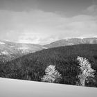 Der Winter von seiner angenehmen Seite