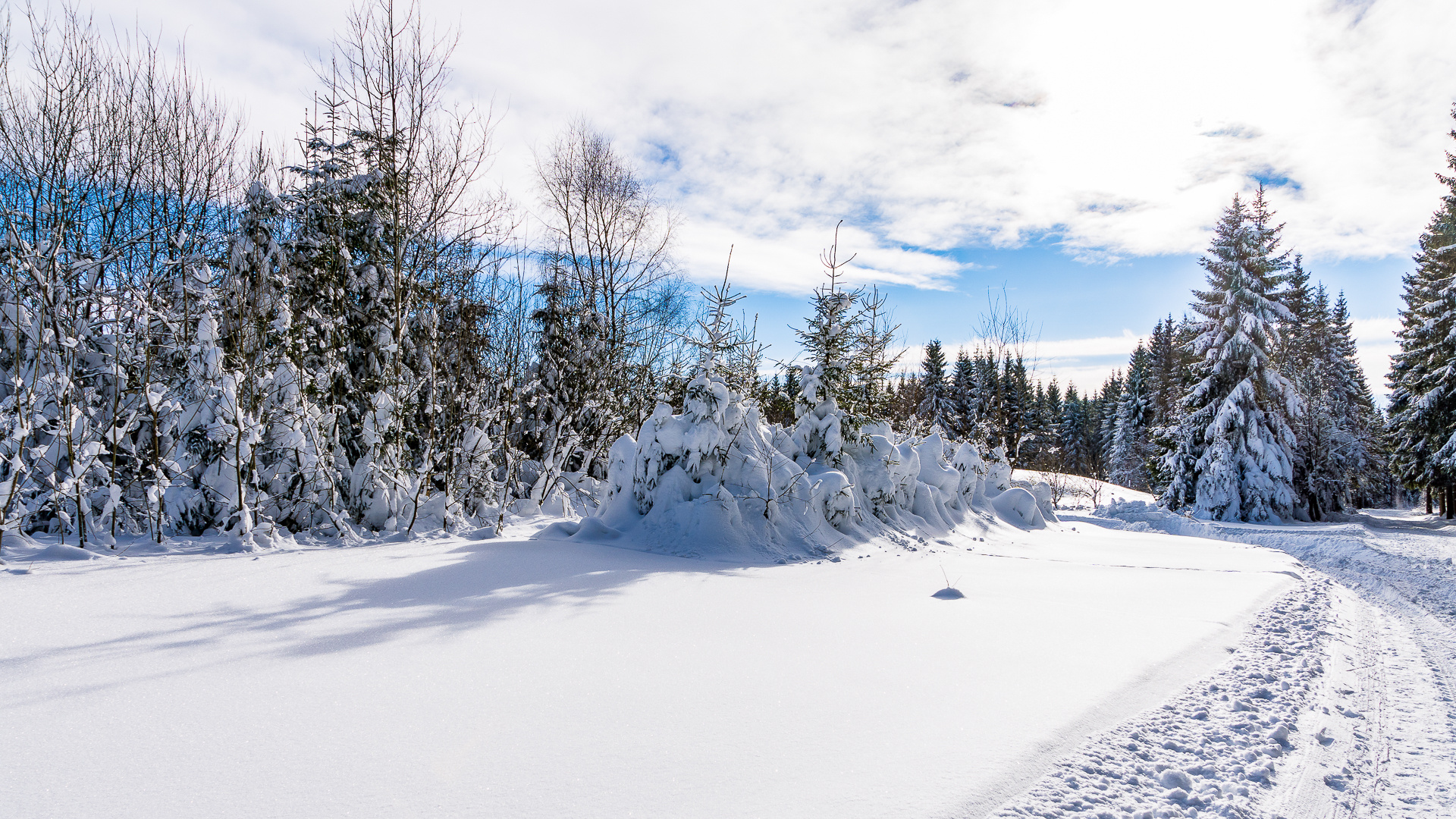 "Der Winter von seiner schönen Seite"