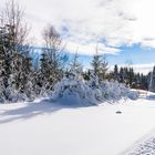 "Der Winter von seiner schönen Seite"