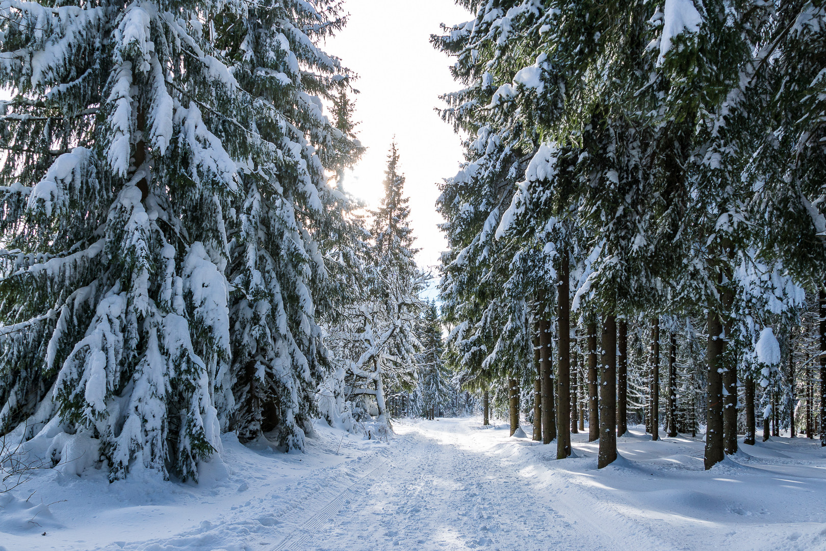 "Der Winter von seiner schönen Seite"(2)