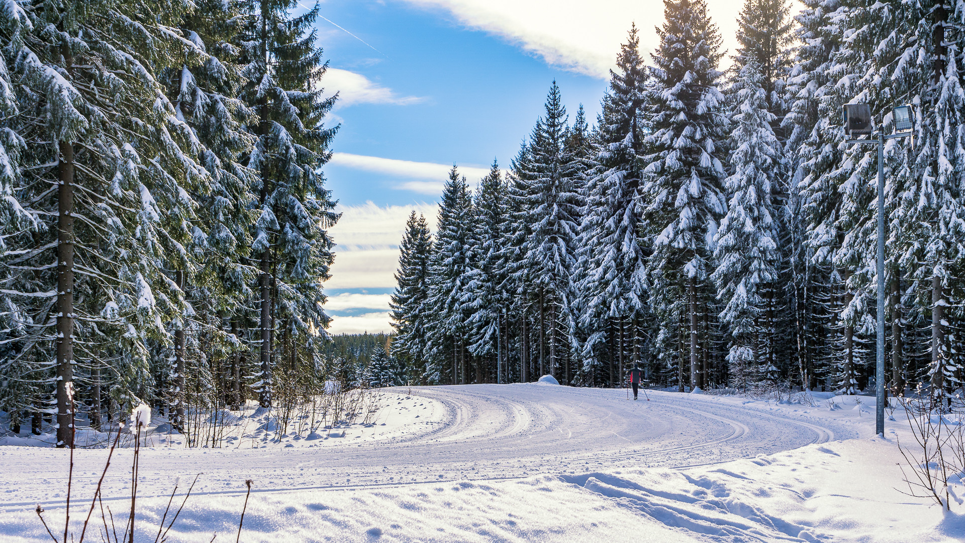 "Der Winter von seiner schönen Seite"(3)