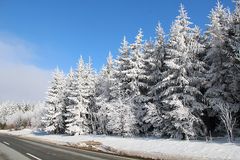 Der Winter von seiner schönsten Seite.