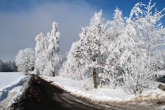 Der Winter von seiner schönsten Seite 2