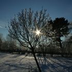 Der Winter von seiner schönsten Seite