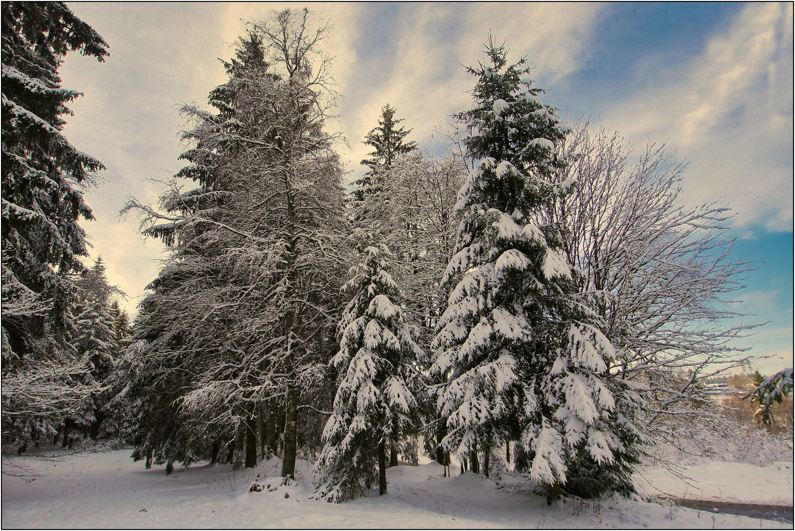 Der Winter von seiner schönsten Seite