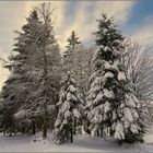 Der Winter von seiner schönsten Seite