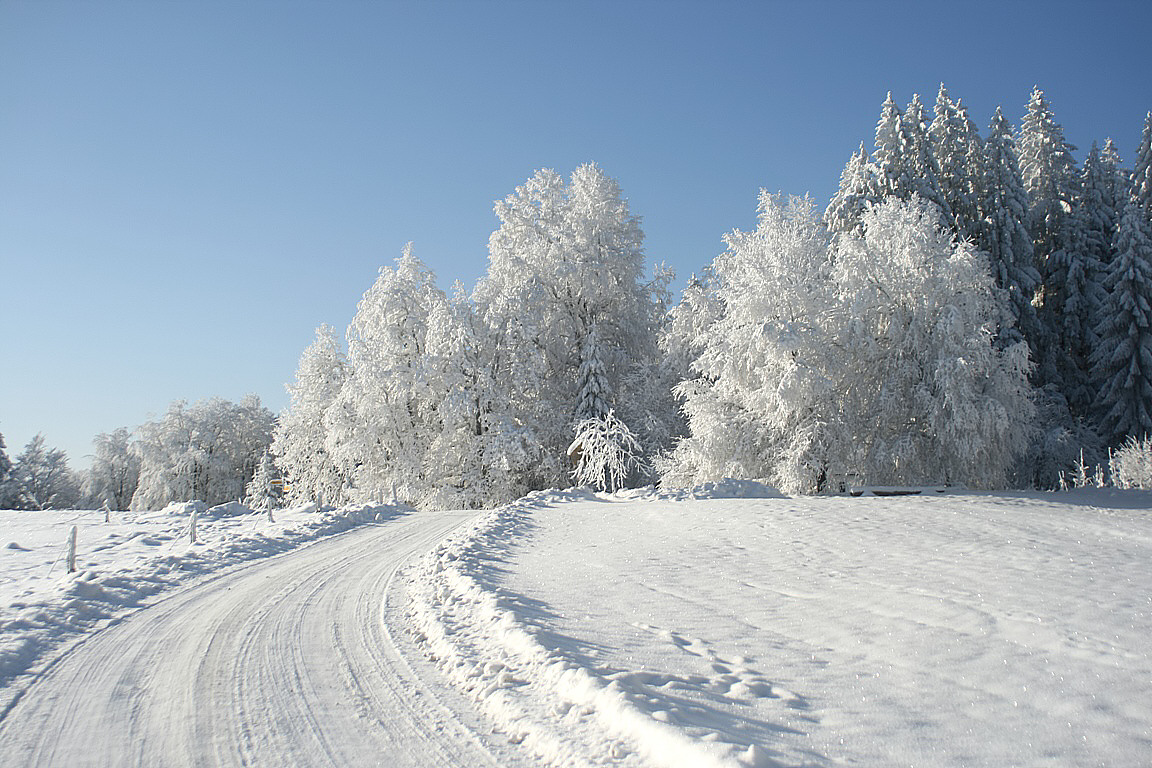 Der Winter von seiner schönsten Seite - Schnee und Rodel gut!