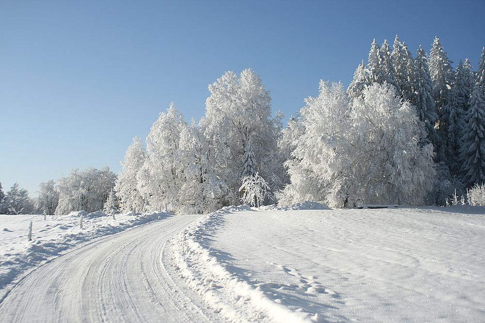Der Winter von seiner schönsten Seite - Schnee und Rodel gut!