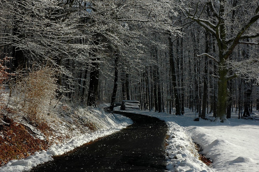 Der Winter Weg