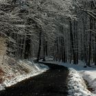 Der Winter Weg
