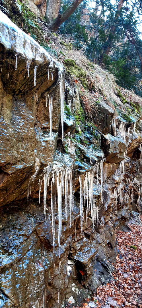 der Winter weicht nicht 