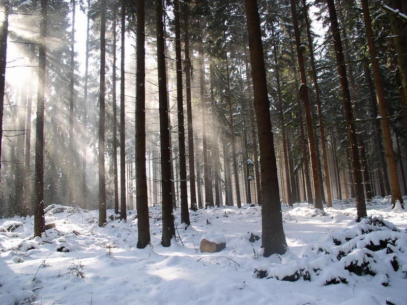 Der Winter will kein Ende nehmen