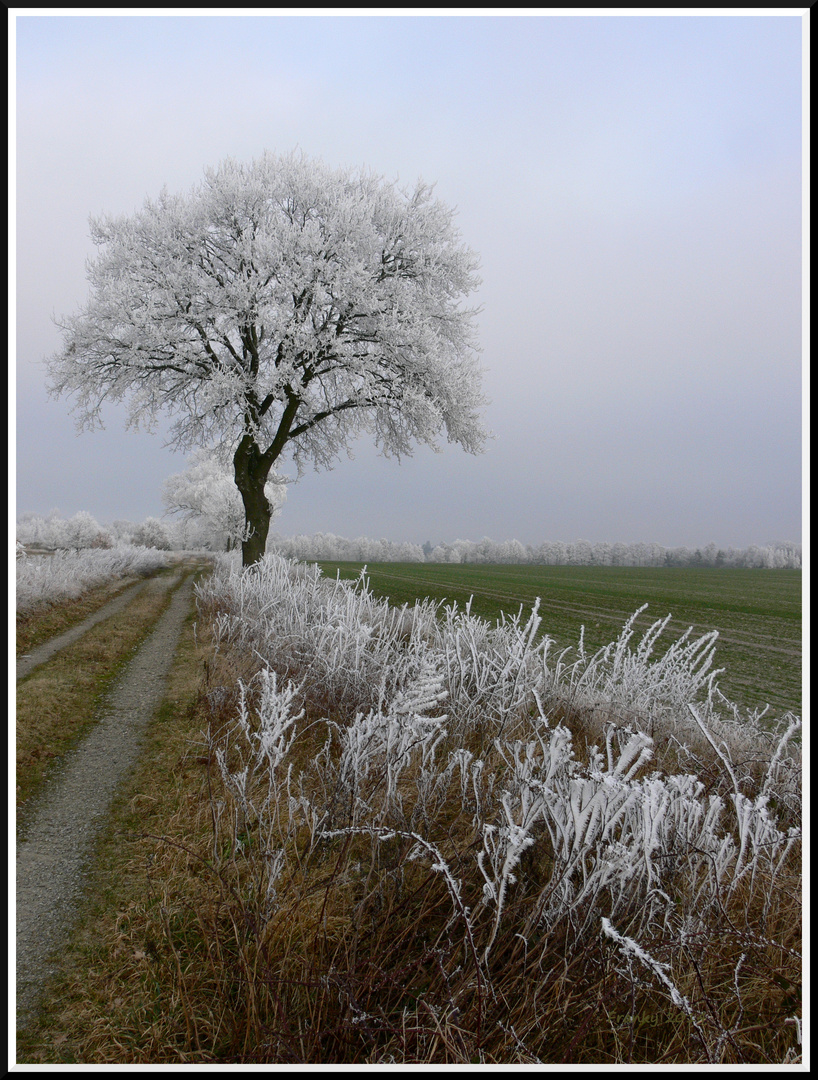 Der Winter wird kommen