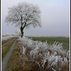 Der Winter wird kommen