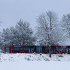 Der Winter Wonderland Express