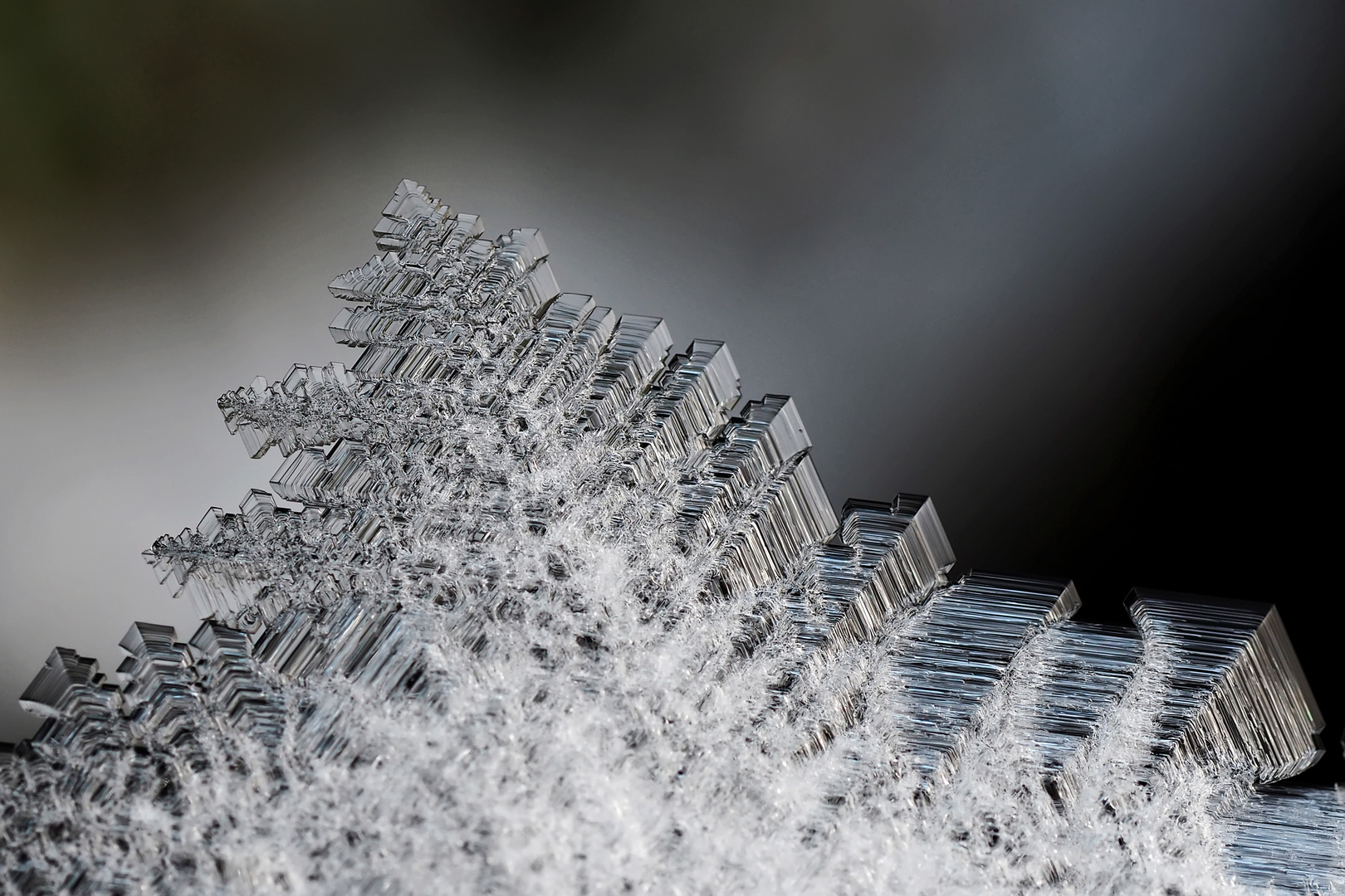 Der Winter zaubert kunstvolle Schmuckstücke hervor …  - L'hiver, un artiste extraordinaire!