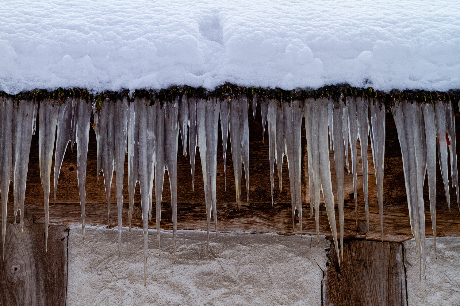 Der Winter zeigt