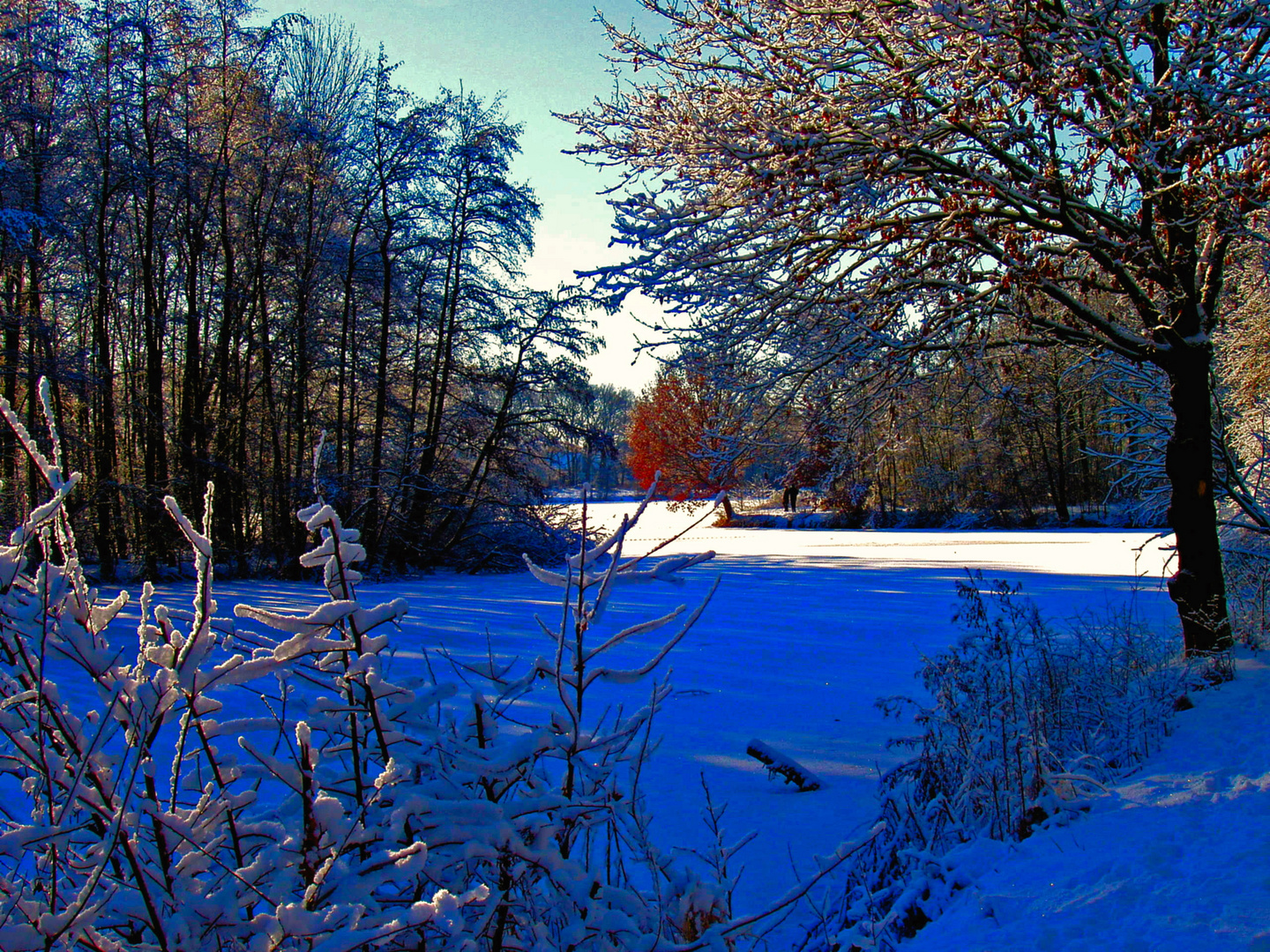 "Der Winter zeigt sein Gesicht"