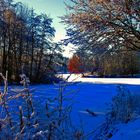 "Der Winter zeigt sein Gesicht"