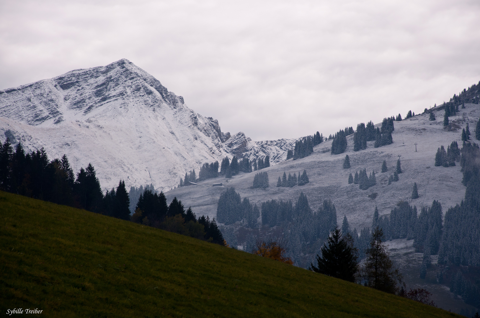 Der Winter zeigt seine Krallen