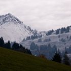 Der Winter zeigt seine Krallen