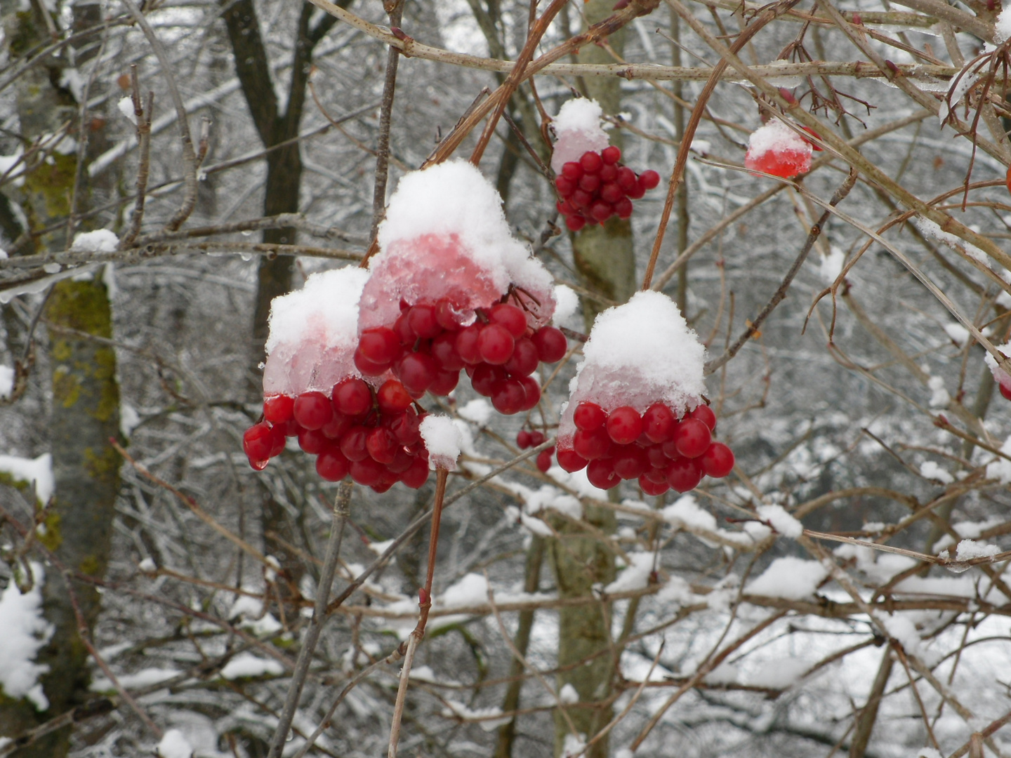 Der Winter zeigt sich in seiner vollen Pracht