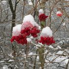 Der Winter zeigt sich in seiner vollen Pracht