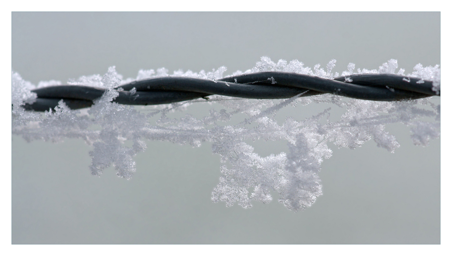 Der Winter zeigt sich schon von seiner stacheligen Seite