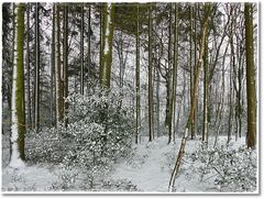 Der Winter zeigte nochmal,daß er noch nicht zu Ende ist....