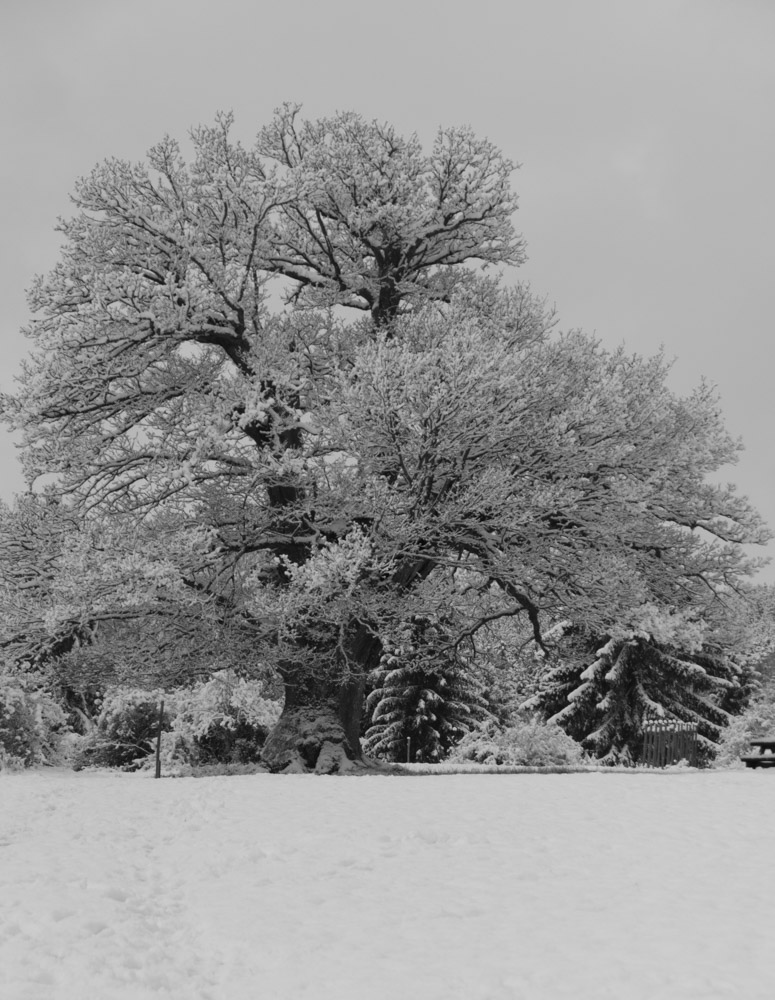 der WInter zieht ein