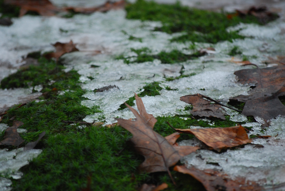 Der Winter zieht sich zurück