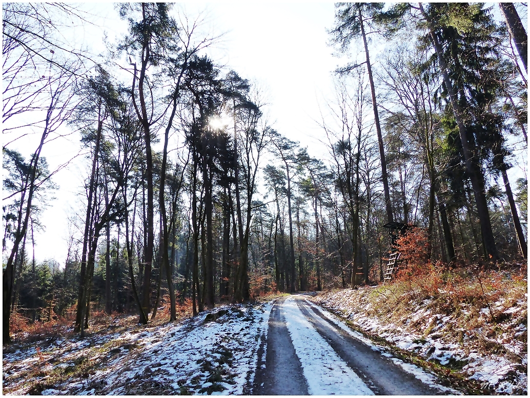 Der Winter zieht sich zurück ,