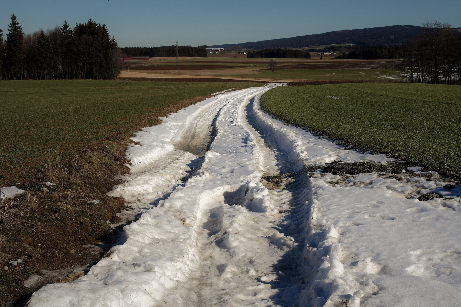 Der Winter  zieht sich zurück