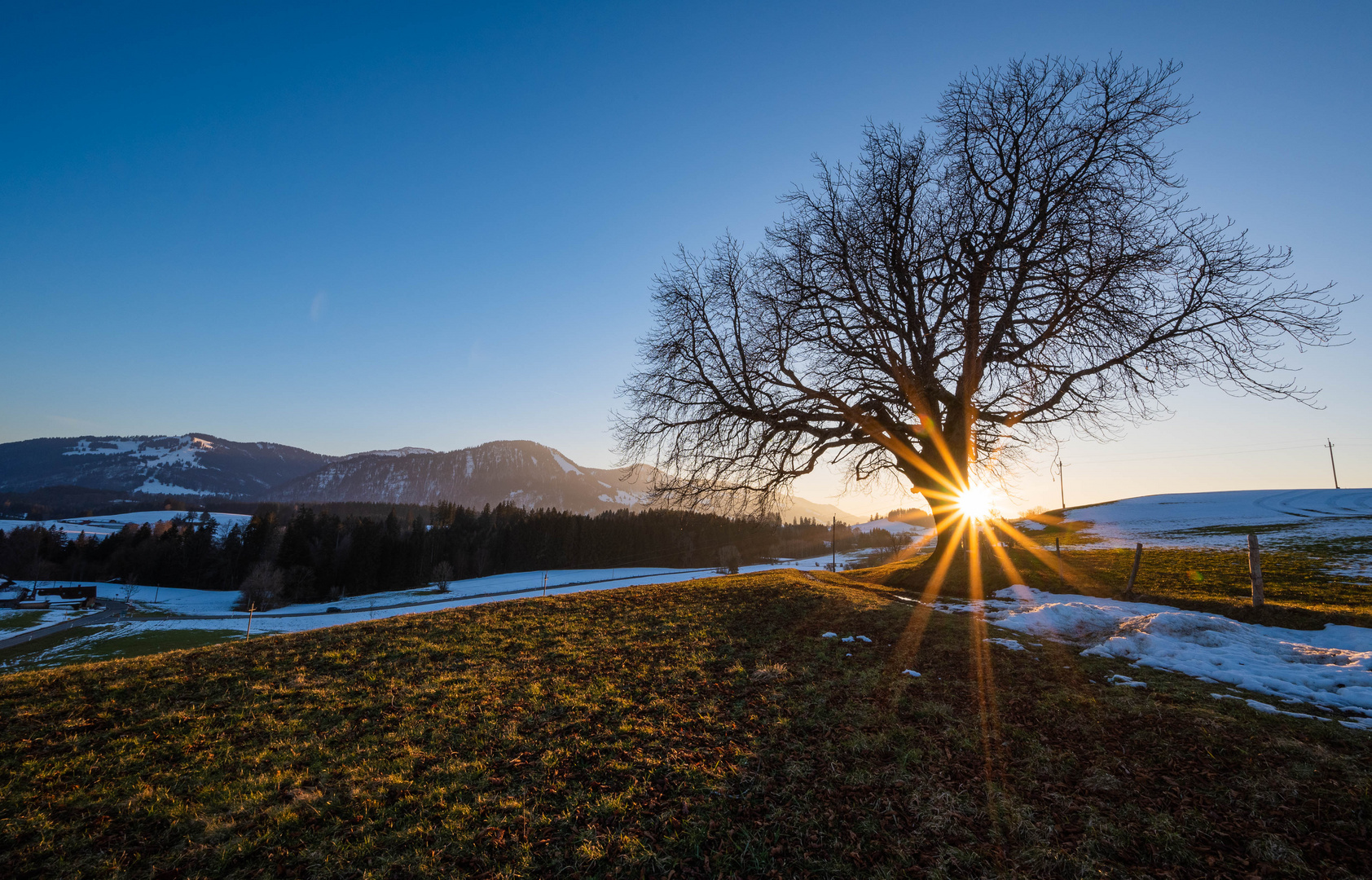 Der Winter zieht sich zurück