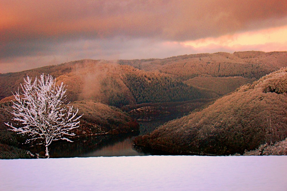 Der Winterbaum