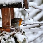 Der Wintereinbruch, Teil II