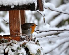 Der Wintereinbruch, Teil II