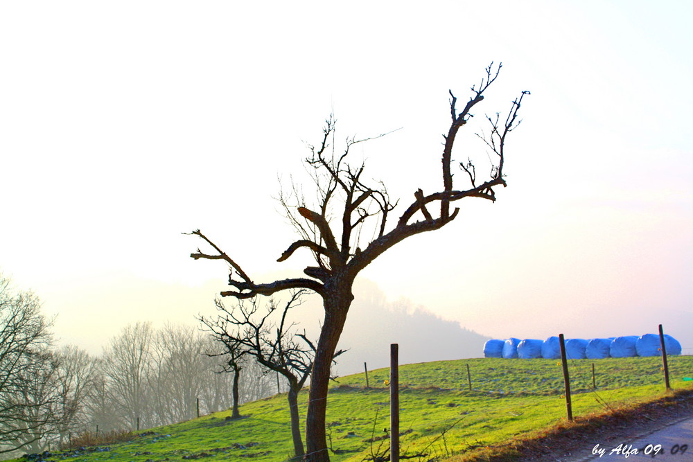 der Winter...er kommt