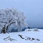 DER WINTERFOTOGRAF