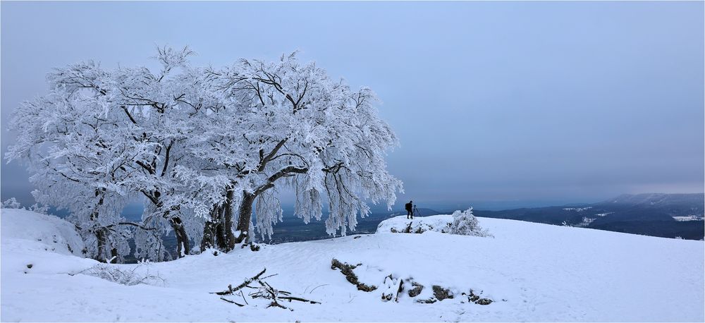 DER WINTERFOTOGRAF