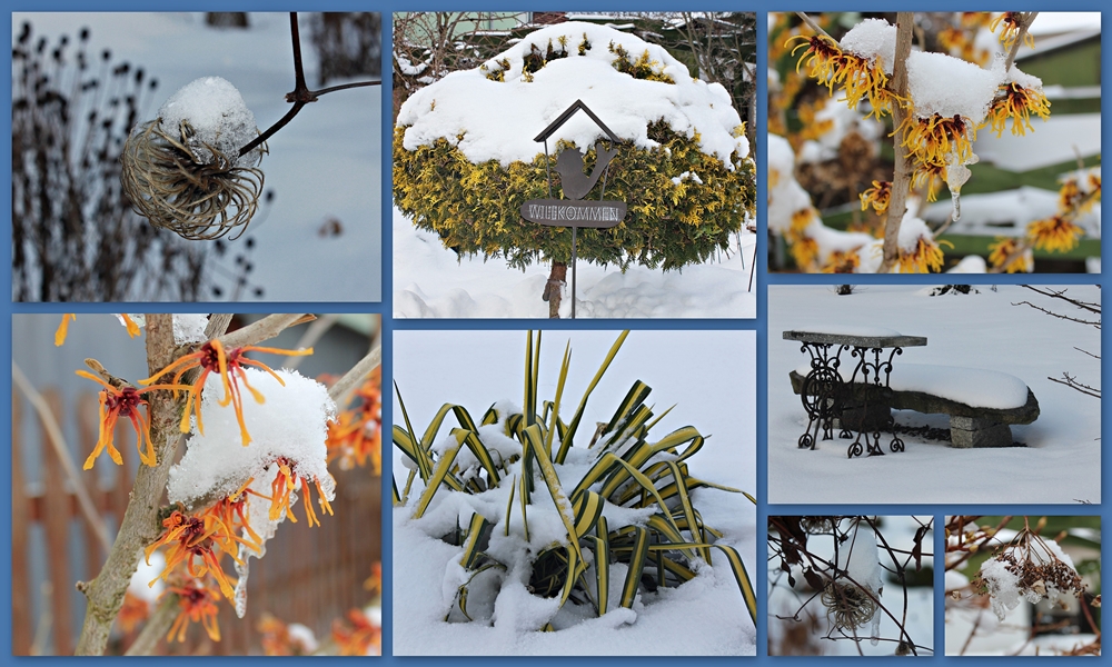 der Wintergarten....die aktuelle Bauernregel