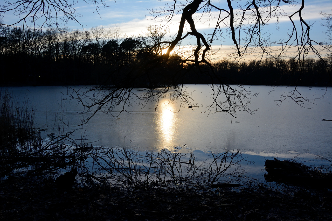 Der winterliche Scheuermühlenteich in Porz-Wahn