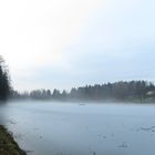 Der winterliche See bei Eging im Bayerischen Wald