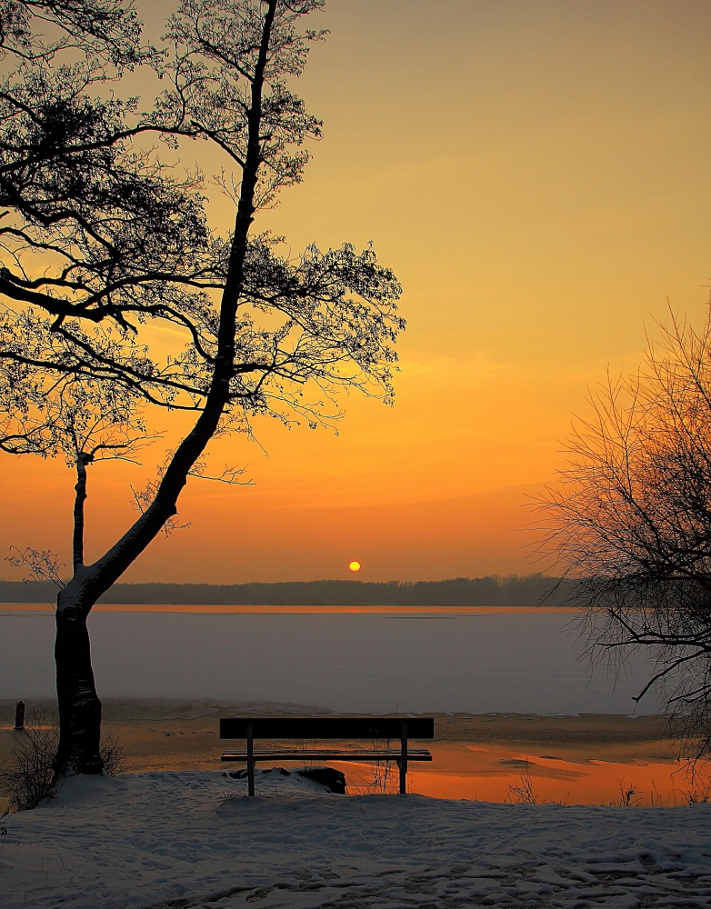 der winterliche See in Hinsbeck