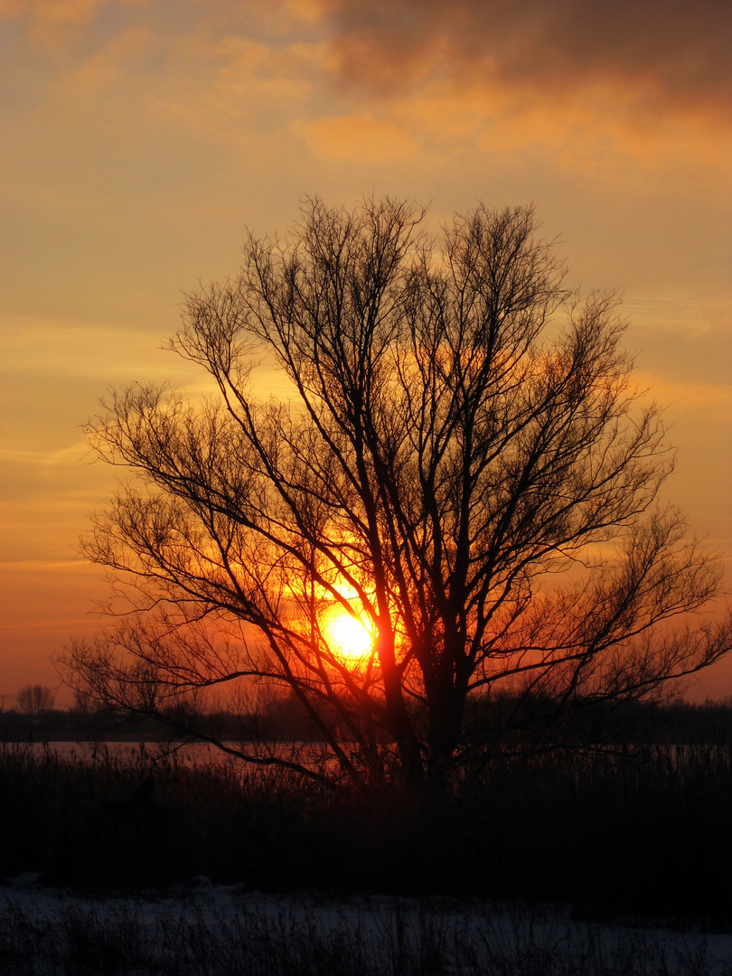 Der winterliche Sonnenuntergang I