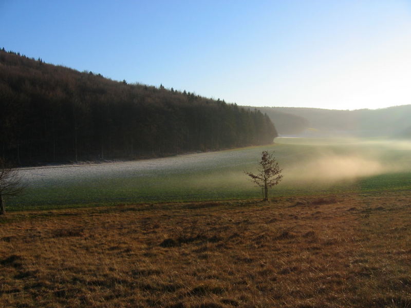 Der Winternebel