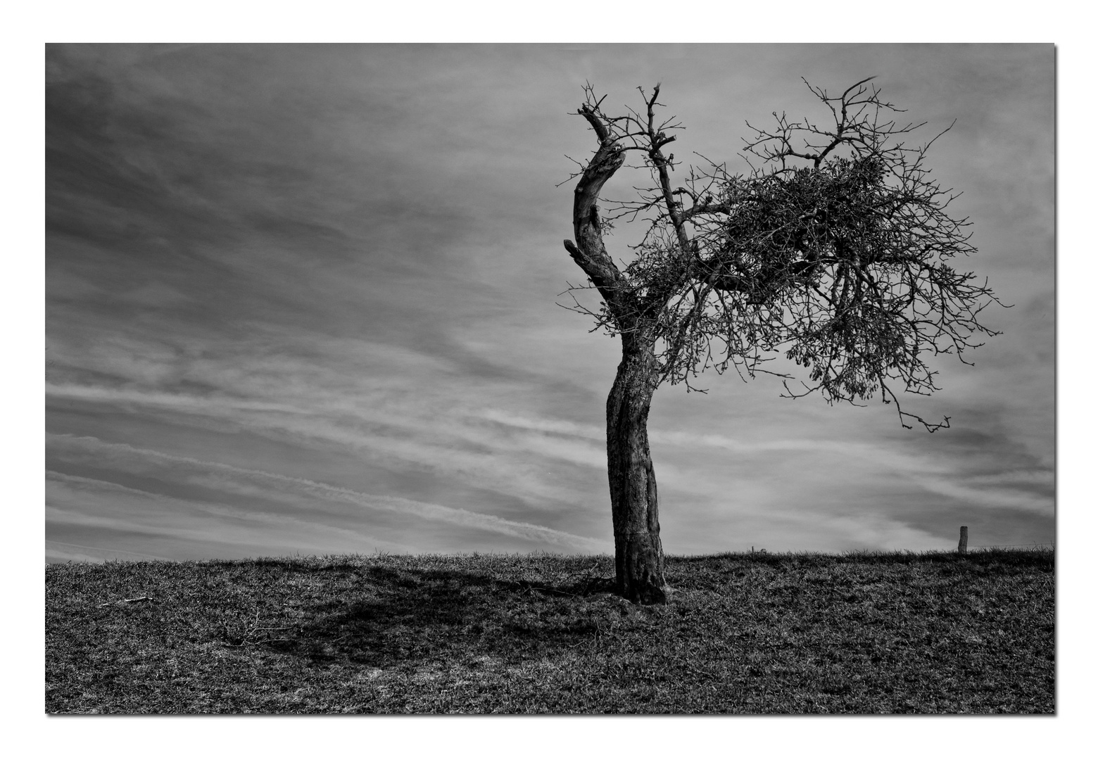 Der Winterschlaf - warten auf den Frühling