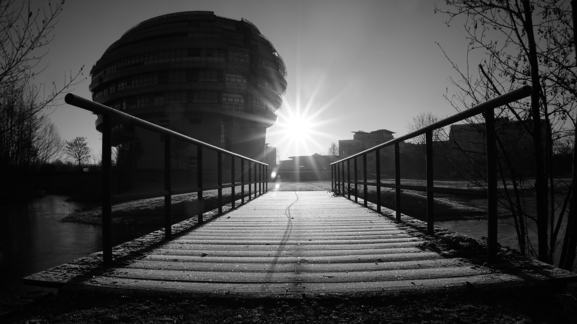 Der Wintersonne entgegen