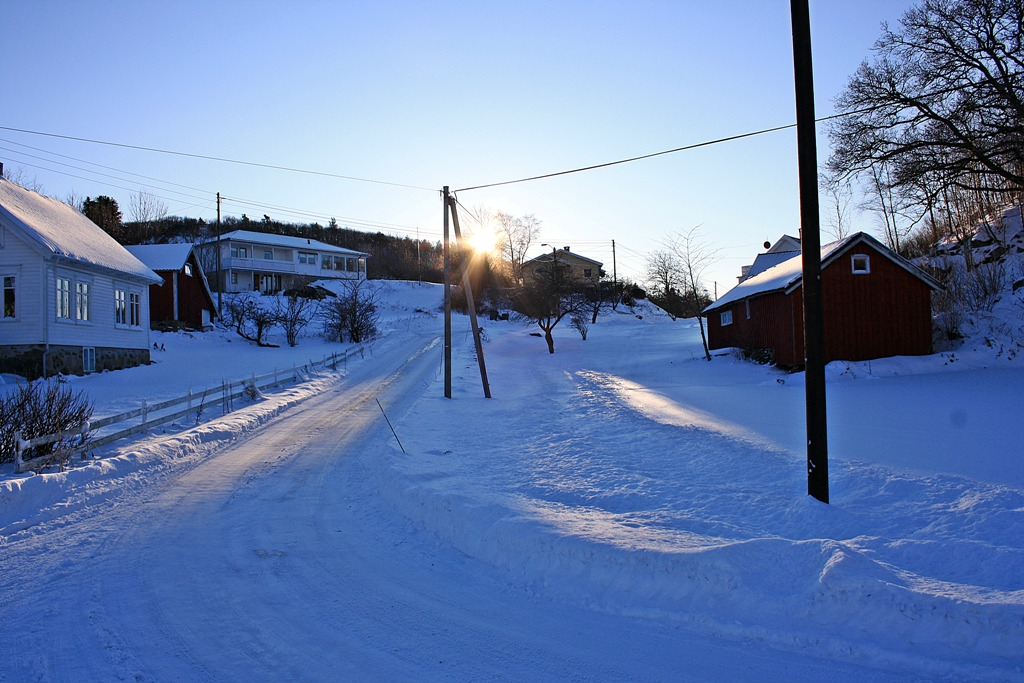 Der Wintersonne entgegen